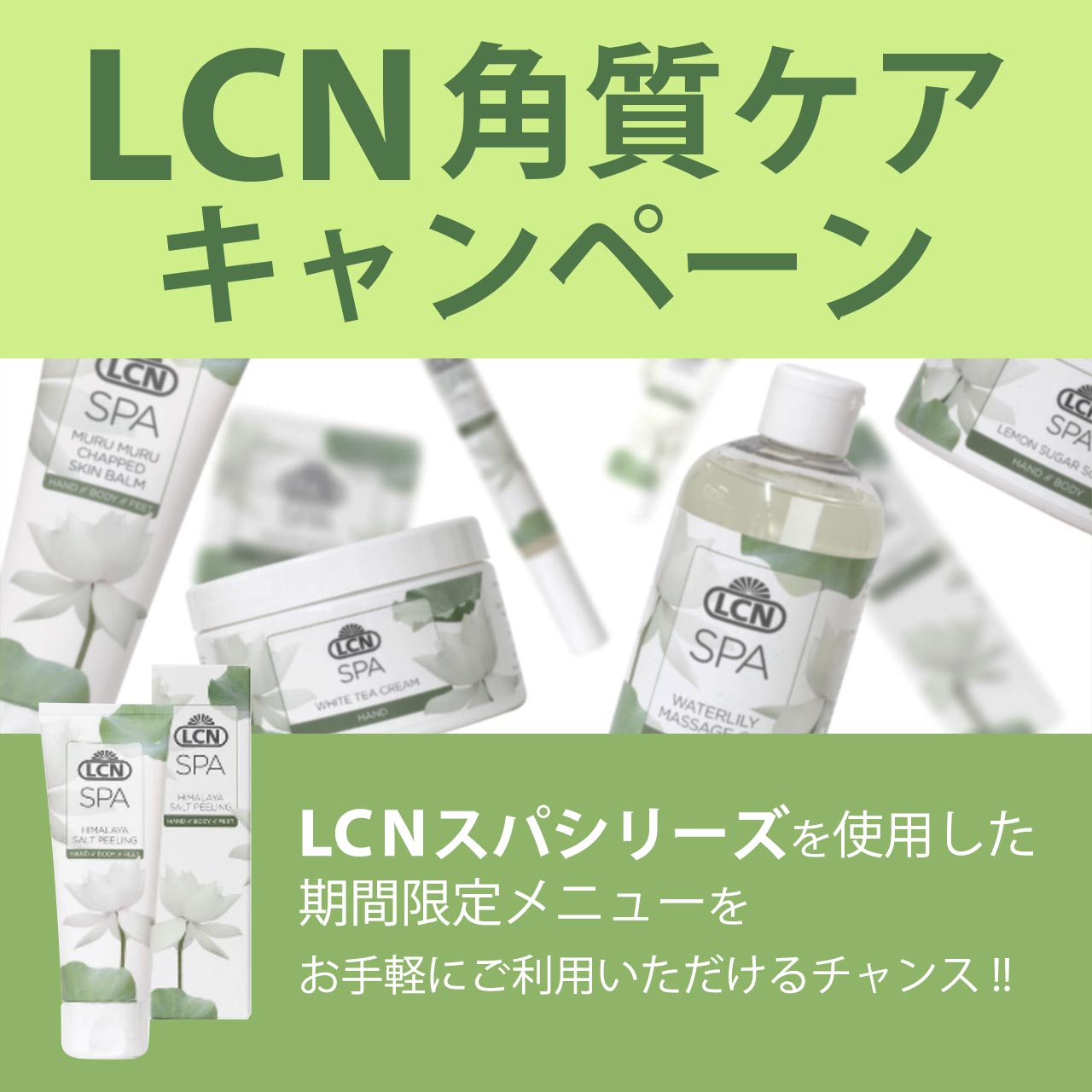 LCN角質ケアキャンペーン